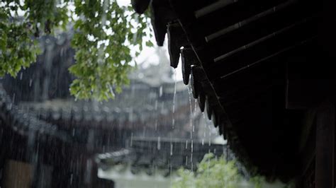 下雨照片|333,717 下雨图片 图片、库存照片、3D 物体和矢量图 